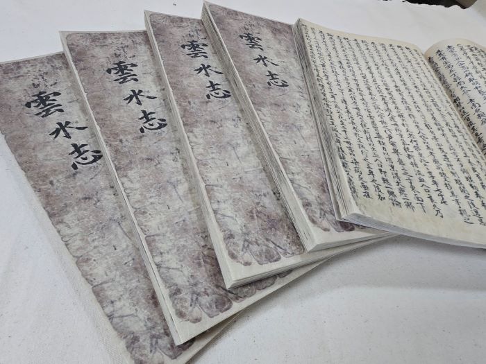 기사 대표 이미지