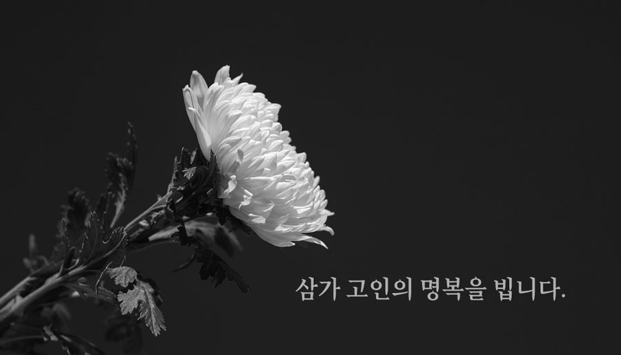기사 대표 이미지