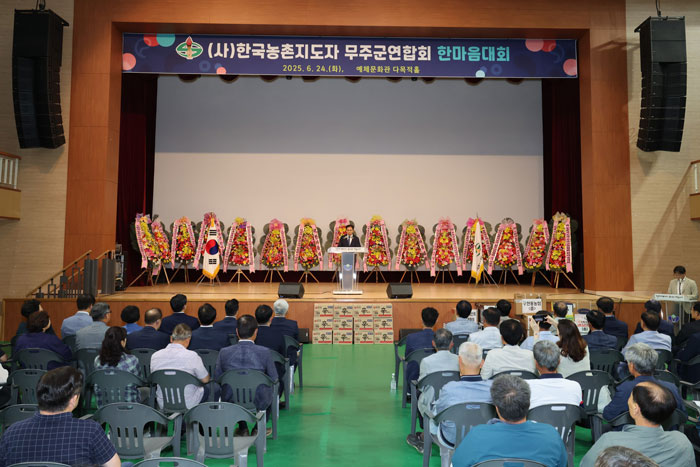 기사 대표 이미지