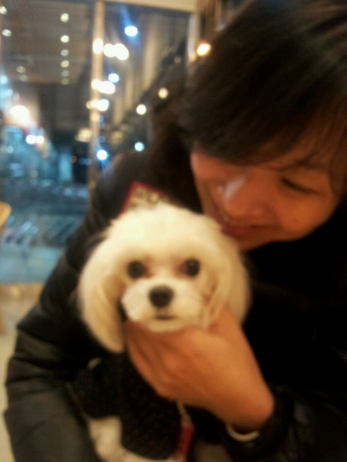 [기고] 정읍 소싸움 잔혹극           